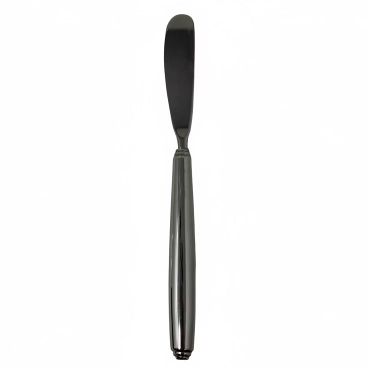 Oneida1 Oneida Obelus Butter Spreader