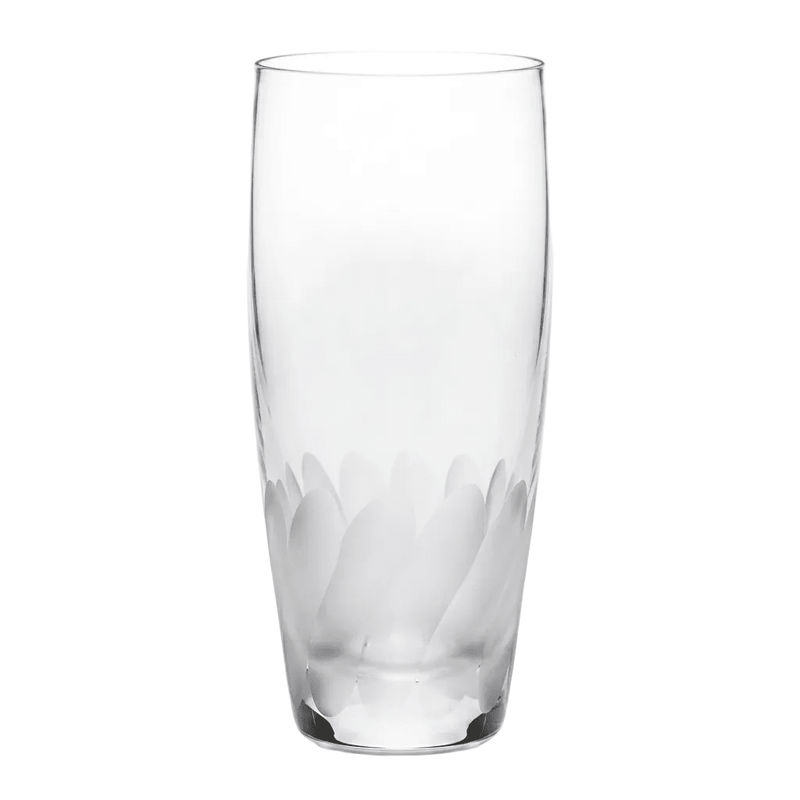 Bohemia Crystal Bohemia Crystal Frosted Swirl Tumbler