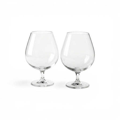 Dartington Dartington Crystal Wine Master Brandy