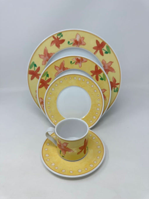 Huschenreuther Hutschenreuther Viva Aleo - 5 Piece Place Setting   