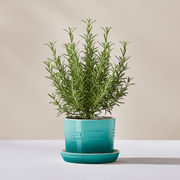 Le Creuset Le Creuset Stoneware Herb Planter