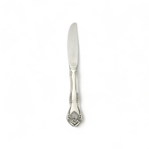 Oneida Oneida Brookwood Dinner Knife