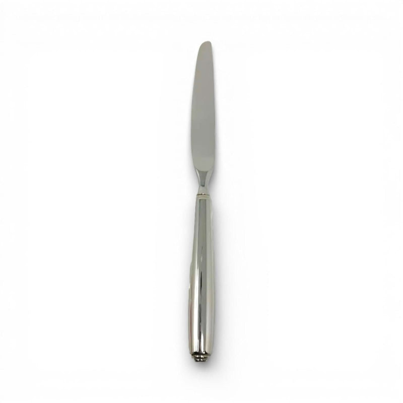 Oneida Oneida Stainless Obelus Dinner Knife