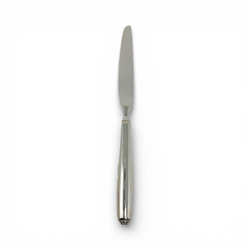 Oneida Oneida Stainless Obelus Dinner Knife