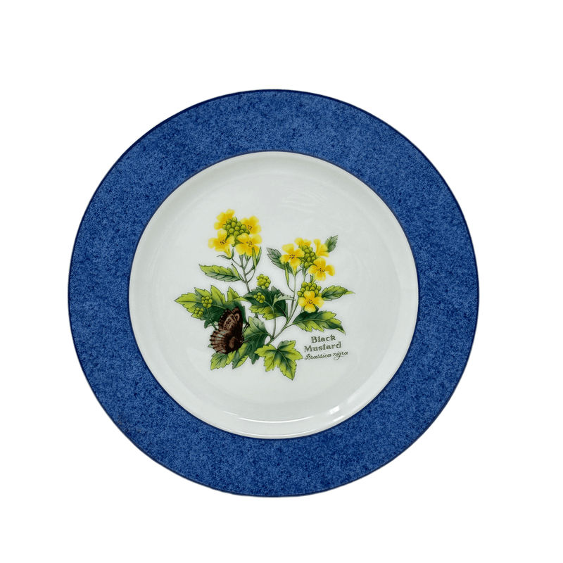 Royal Worcester Royal Worcester Herbs Salad Plate (Black Mustard Brassica Nigra)