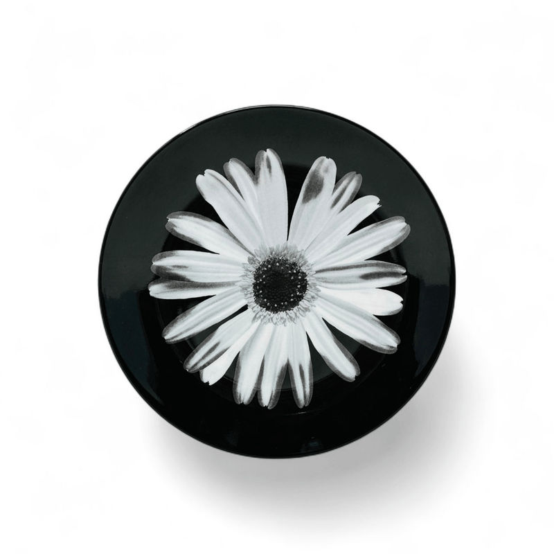 Wedgwood Wedgwood Bloomers Salad Plate Night & Day (Daisy White)