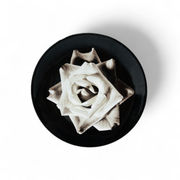 Wedgwood Wedgwood Bloomers Salad Plate Black Rose