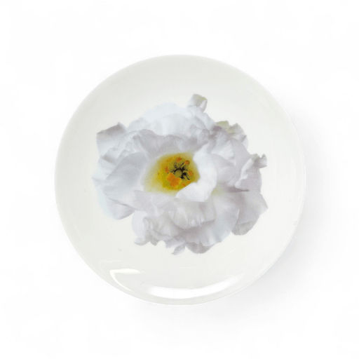 Wedgwood Wedgwood Bloomers Salad Plate White Lisianthus