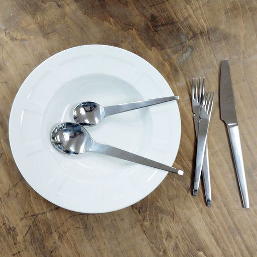 Retroneu Retroneu Stainless Trek Flatware Set - 20 Piece   