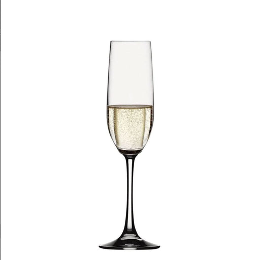 Spiegelau Spiegelau Vino Grande Champagne Glass - set of 4   