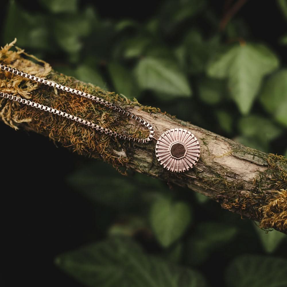 Halsband på gren med runt hänge och strålmönster, metallkedja i detalj.