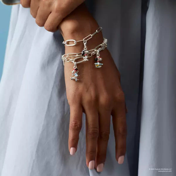 Charm i sterlingsilver i ett halsband runt handleden med flera små hängen