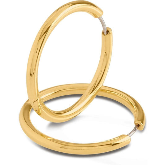 Titanörhängen, guldfärgade, 31 mm, böjda