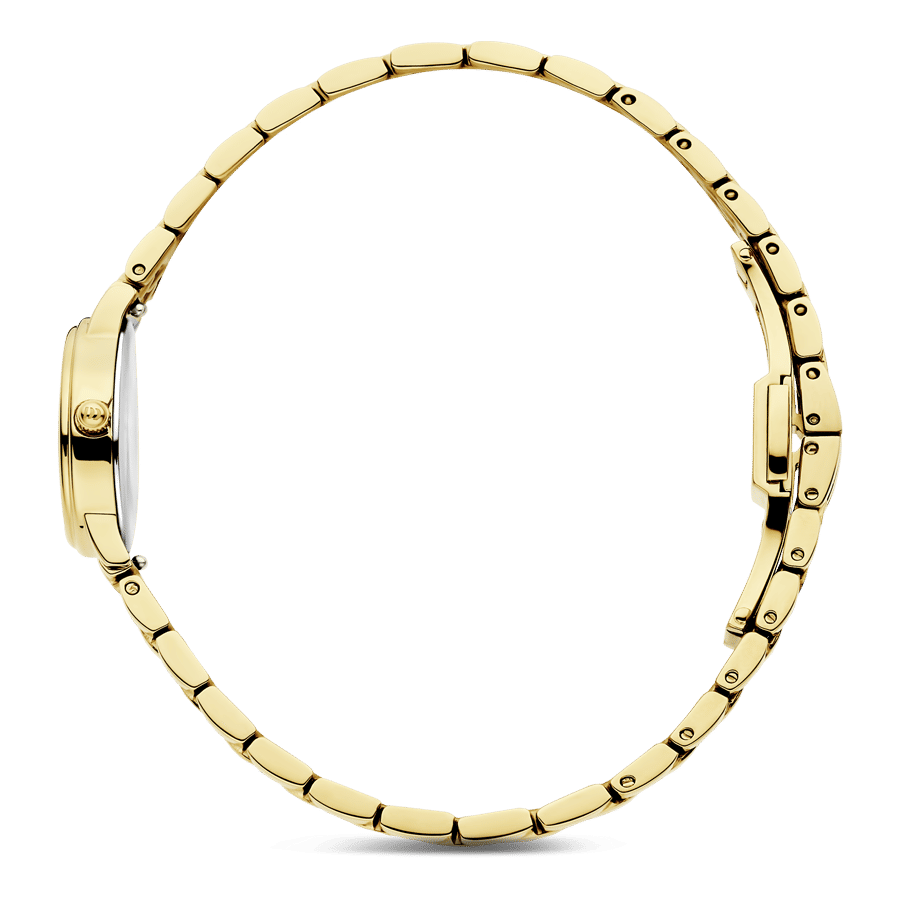 Danish Design Eloise IV96Q1310 Damenuhr Gold • Ovales Gehäuse • Schnellwechselarmband, Bild 2