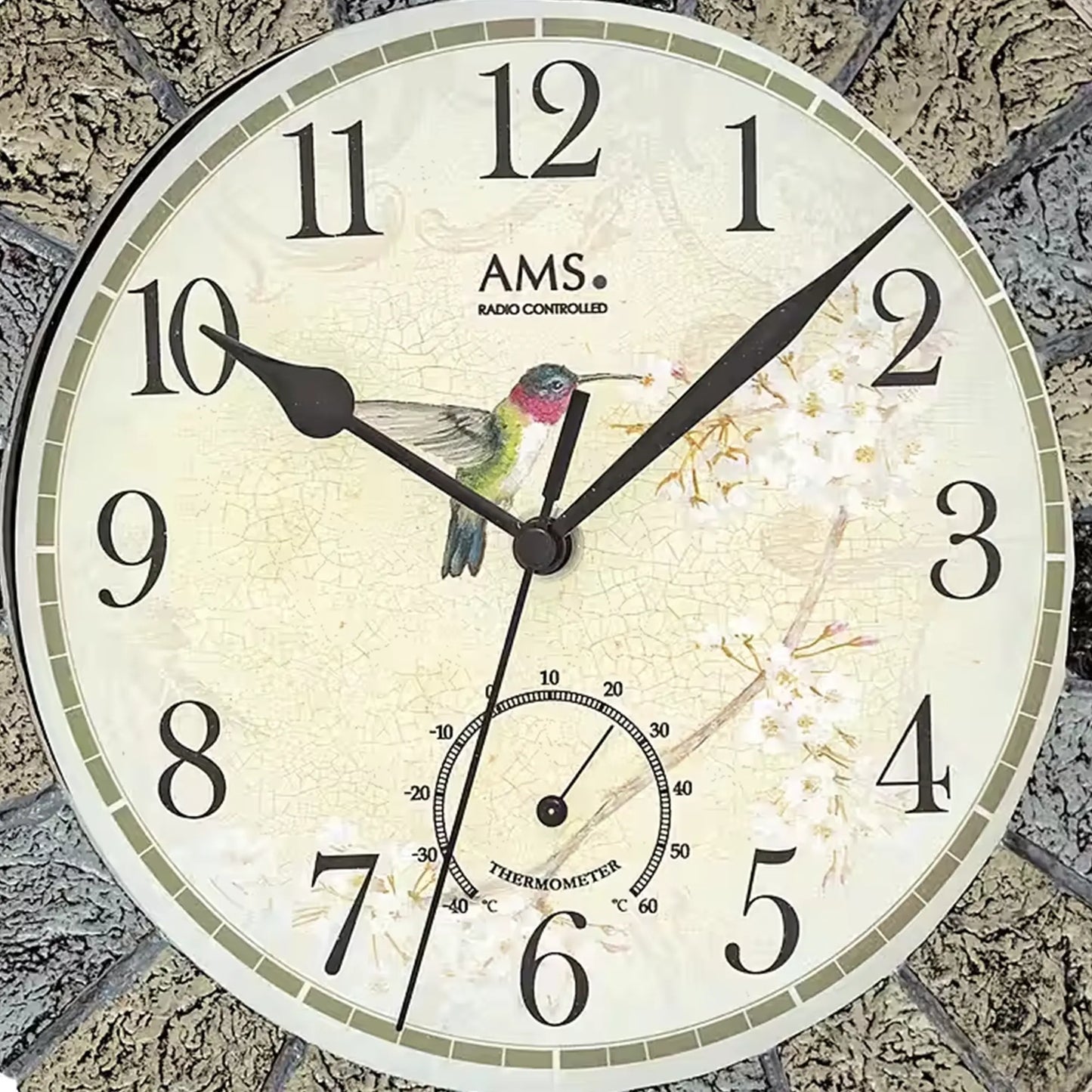 Nahaufnahme Funk-Wanduhr: beiges Ziffernblatt mit AMS, Vogelmotiv und Thermometeranzeige