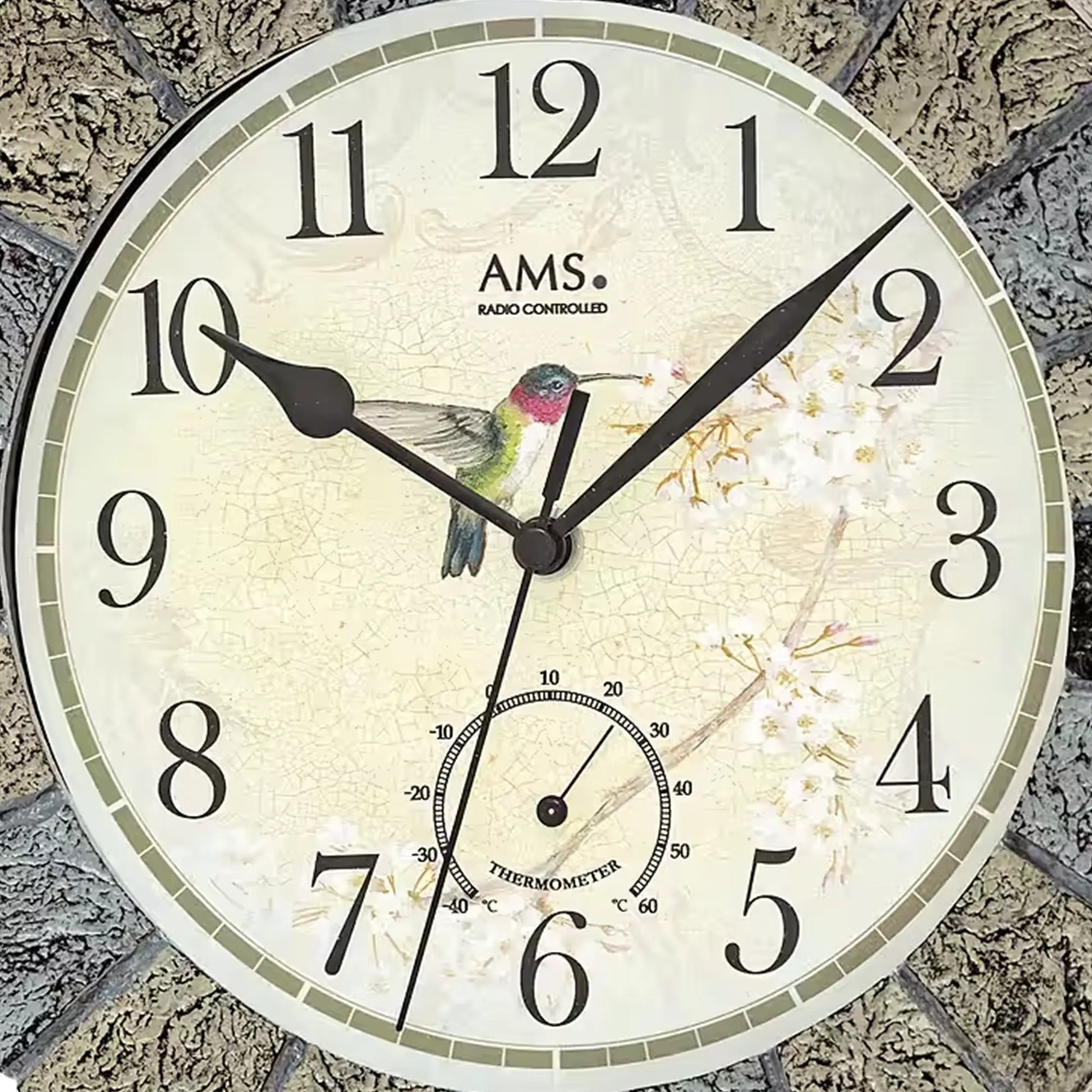 Nahaufnahme Funk-Wanduhr: beiges Ziffernblatt mit AMS, Vogelmotiv und Thermometeranzeige