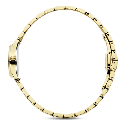 Danish Design Eloise IV96Q1310 Damenuhr Gold • Ovales Gehäuse • Schnellwechselarmband, Bild 2